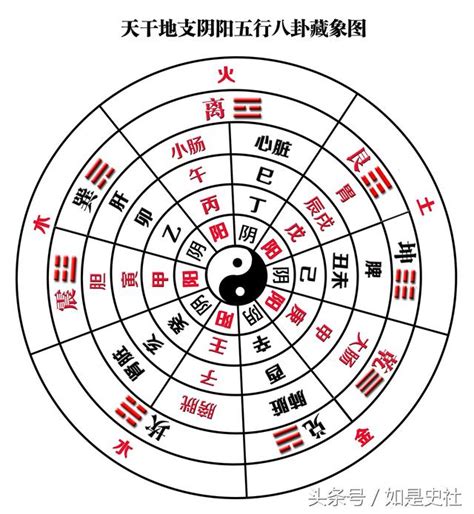 天干 時間|天干和地支｜香港天文台(HKO)｜曆